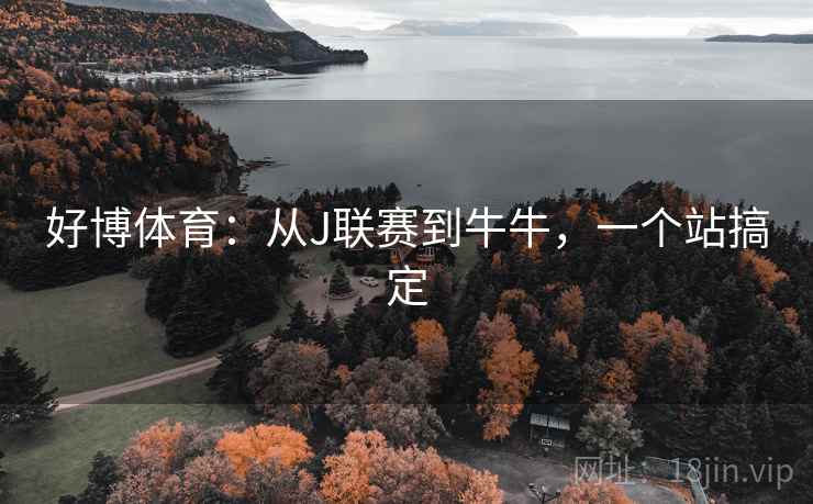好博体育：从J联赛到牛牛，一个站搞定