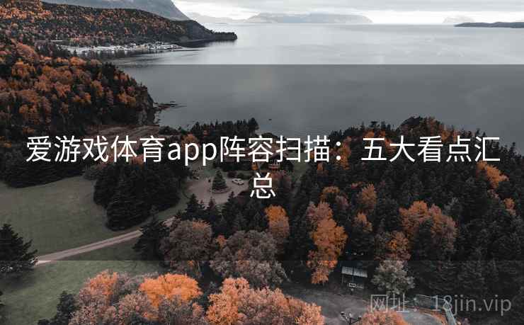 爱游戏体育app阵容扫描：五大看点汇总