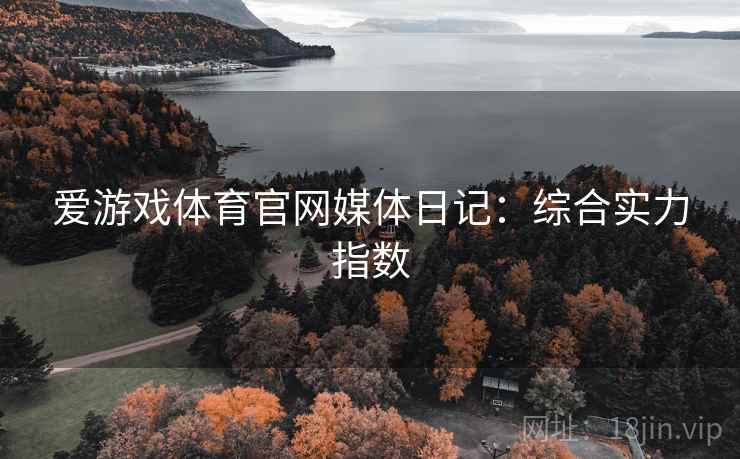 爱游戏体育官网媒体日记：综合实力指数