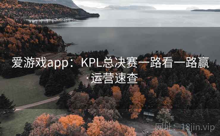 爱游戏app：KPL总决赛一路看一路赢·运营速查
